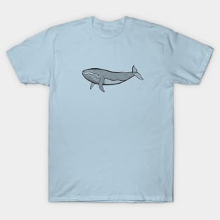 Humpback Whale - hand drawn detailed marine animal design T-Shirt